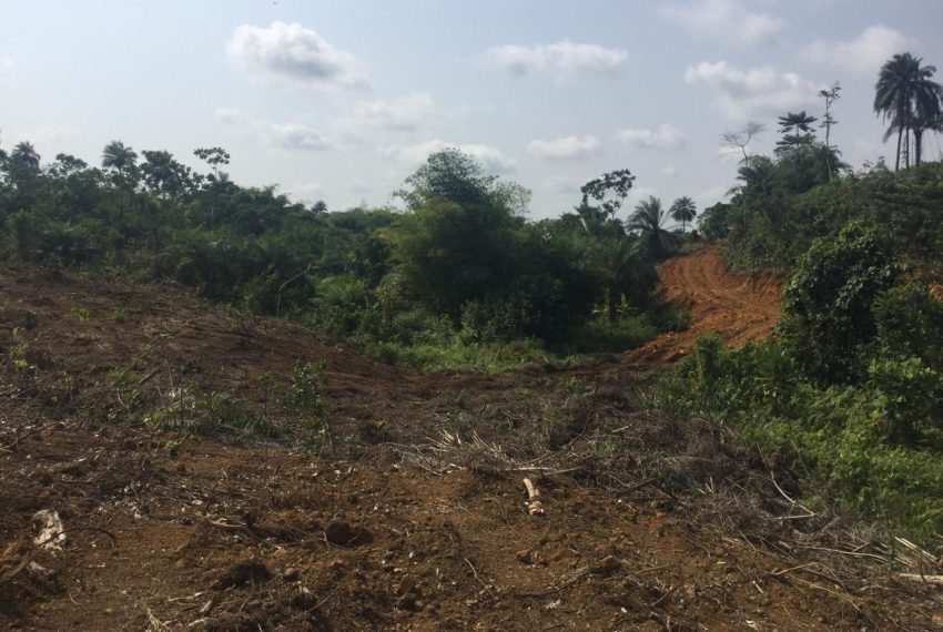 WhatsApp Image 2025-03-30 at 20.12.34_19c8f5a9