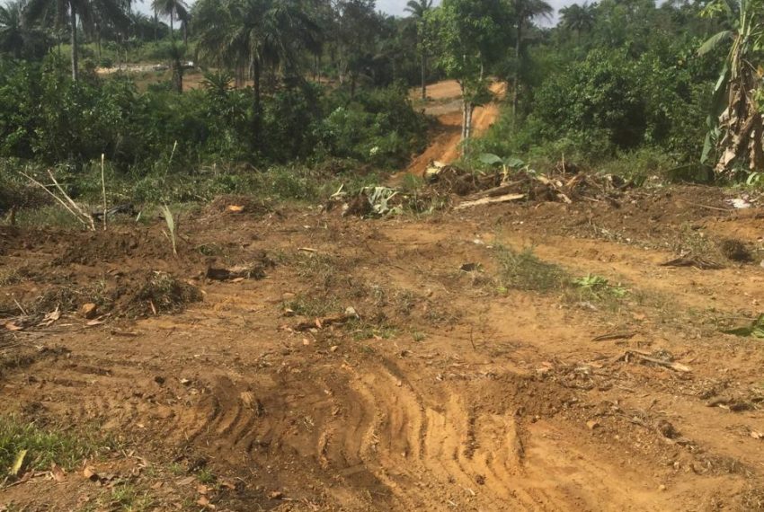 WhatsApp Image 2025-03-30 at 20.12.34_cb7b967f