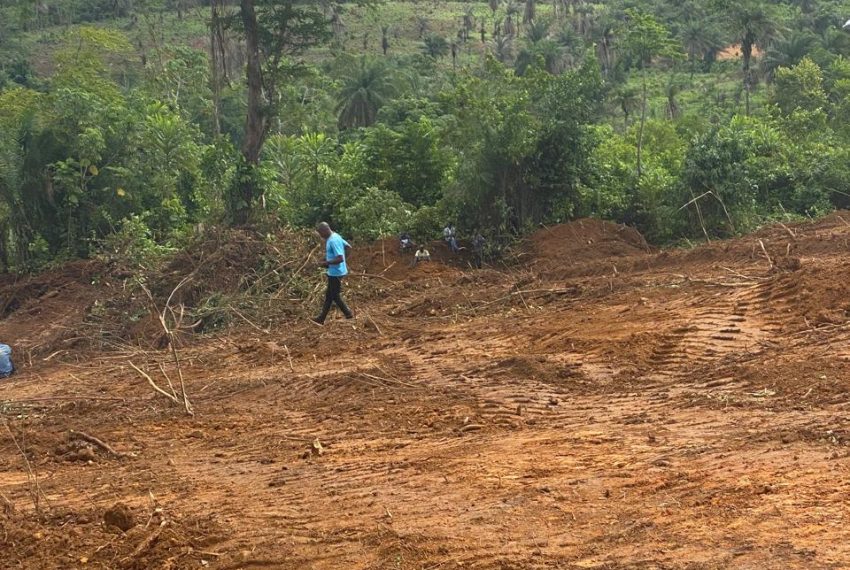 WhatsApp Image 2025-03-30 at 20.13.16_6c2f27af